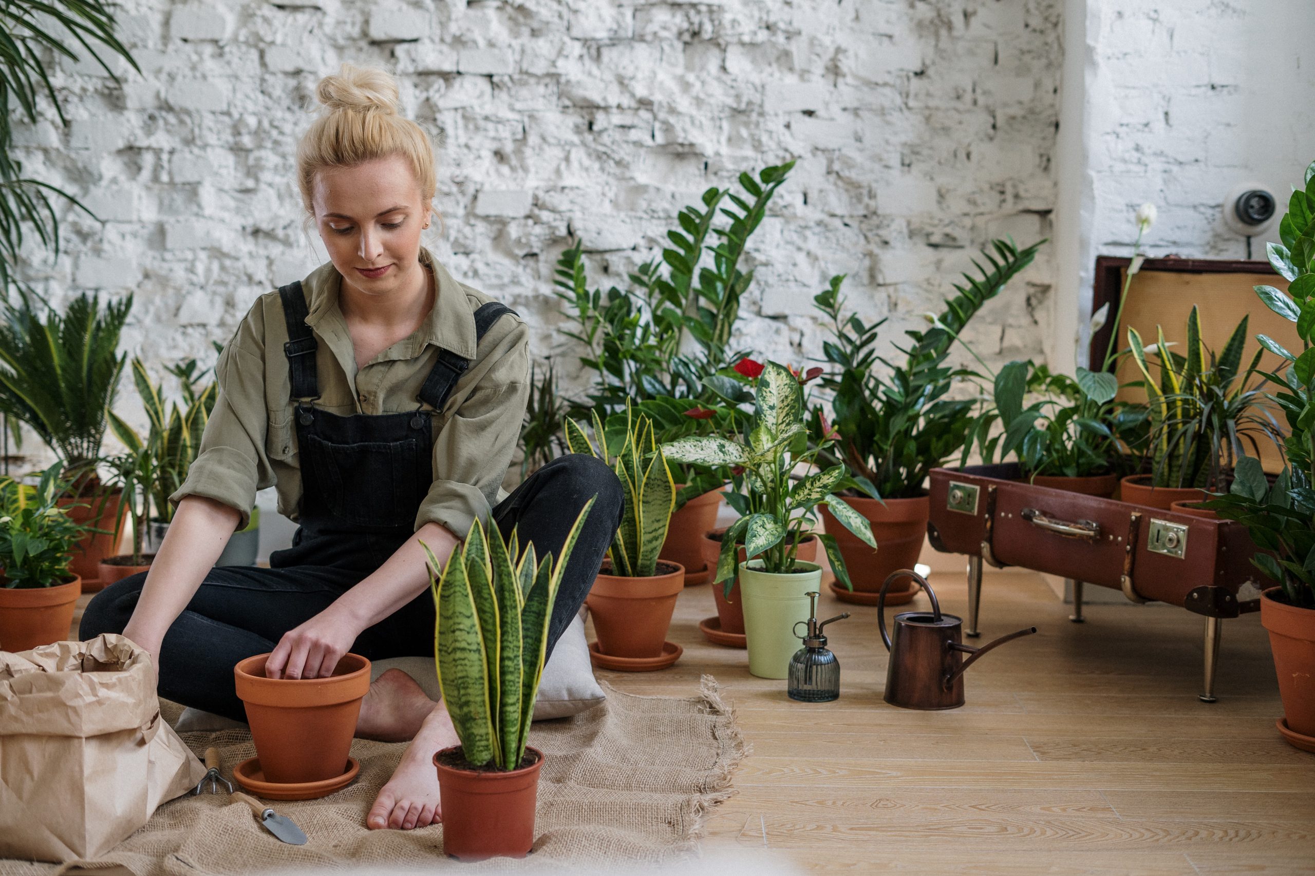 The Best Gardening Tips for a Thriving Backyard